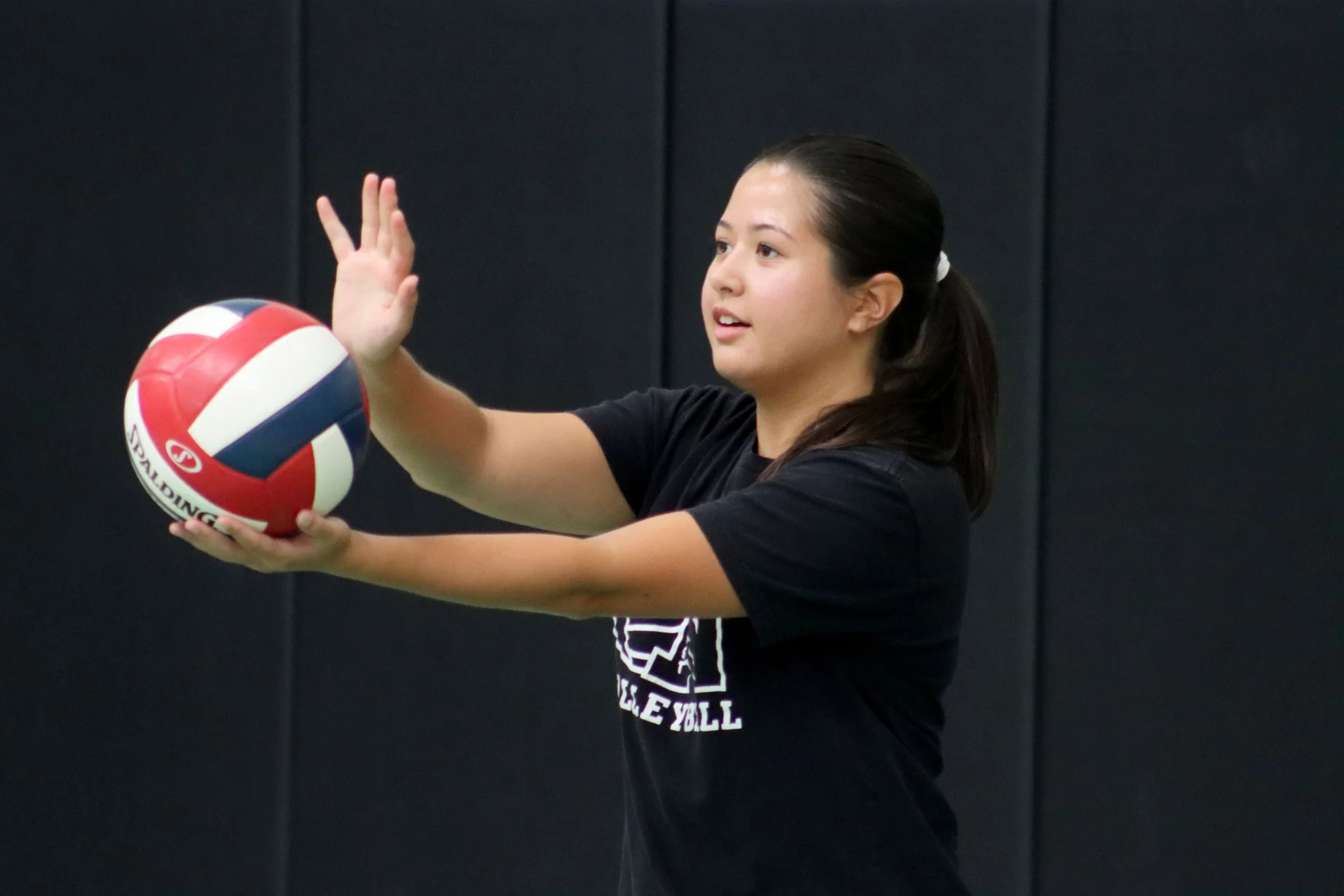 VolleyBall Image